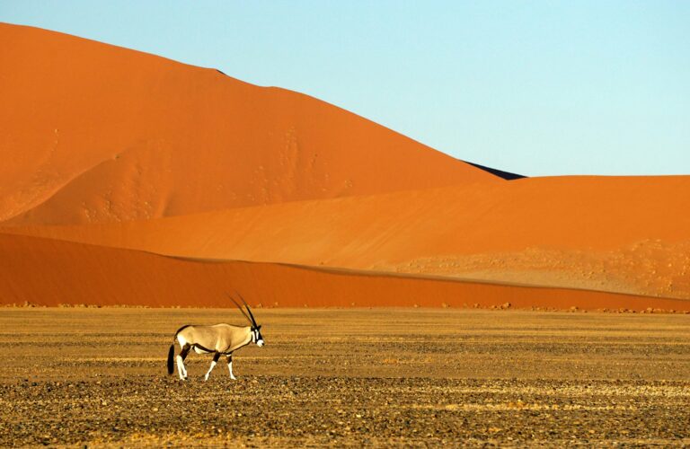 NAMIBIE